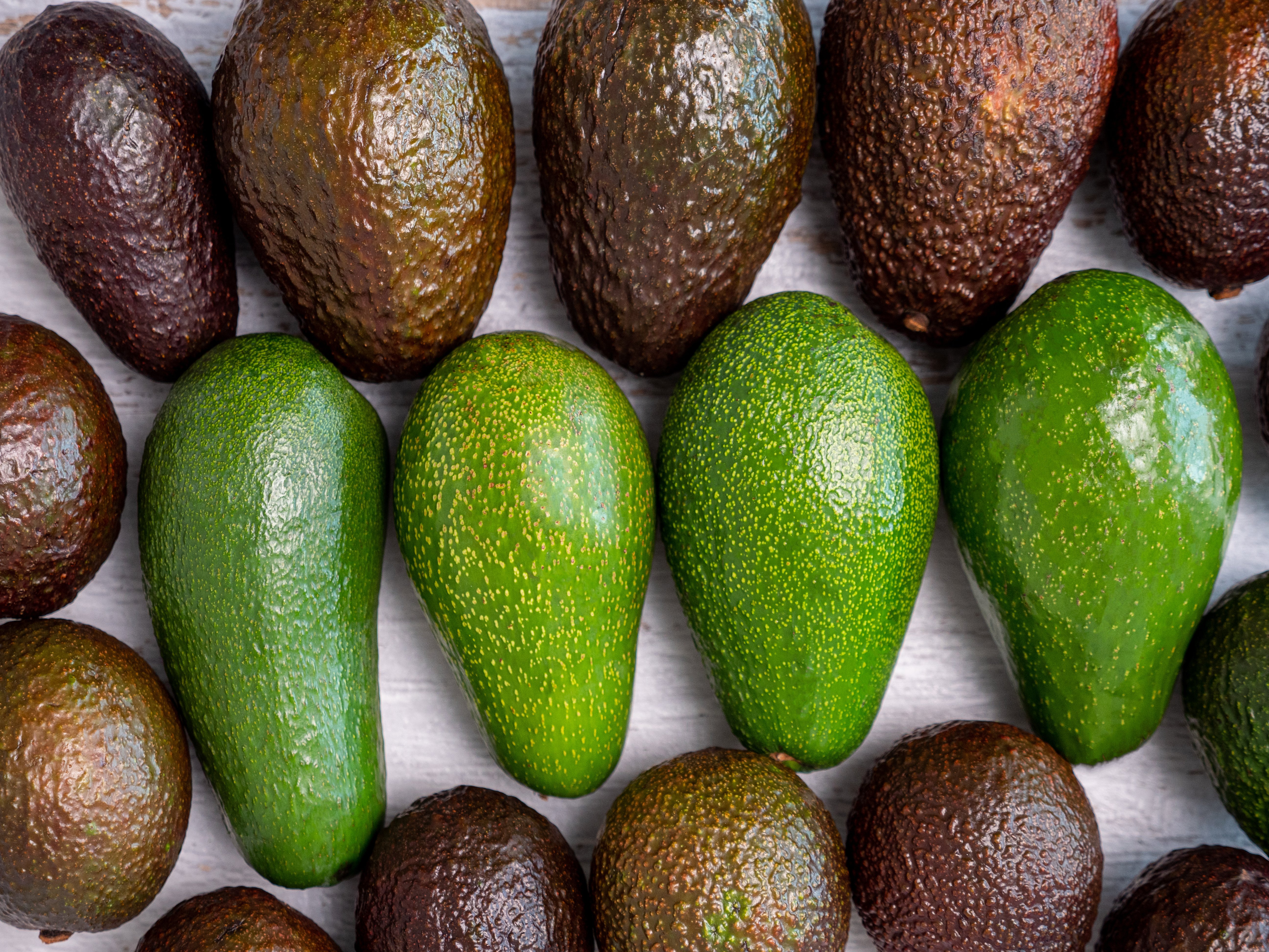 Fruit Services Collective erweitert Kühlkapazitäten mit fortschrittlichen Einschubregalen